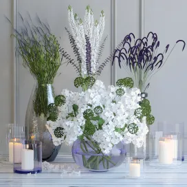 Spring flowers